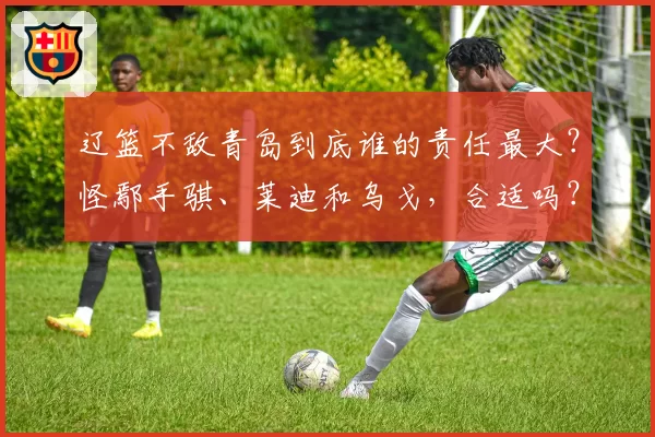 辽篮不敌青岛到底谁的责任最大？怪鄢手骐、莱迪和乌戈，合适吗？