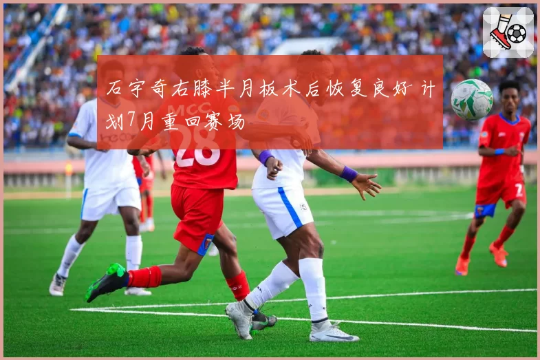石宇奇右膝半月板术后恢复良好 计划7月重回赛场